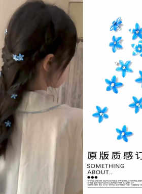 温柔甜美新中式编发头饰蓝色小花花发夹花朵发卡子盘发扣豆豆夹子