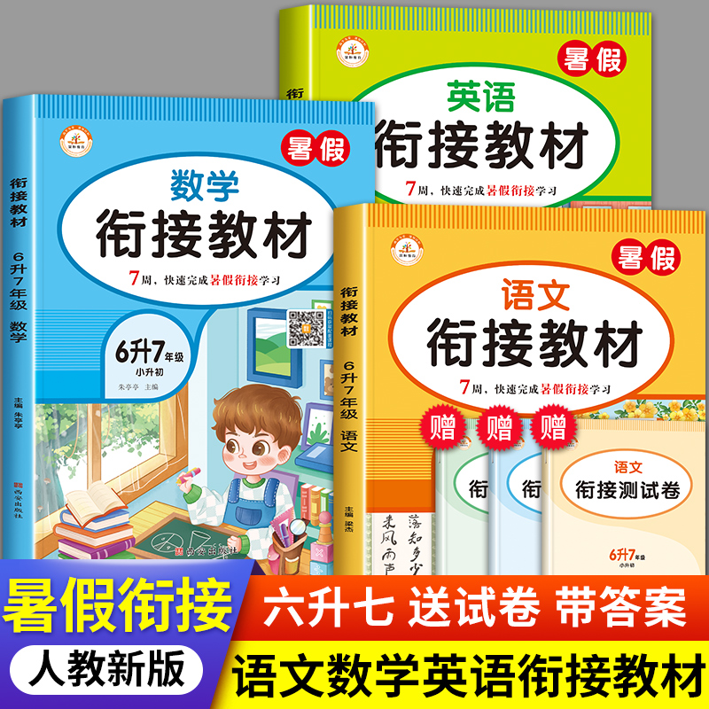复习 天天练 专项训练