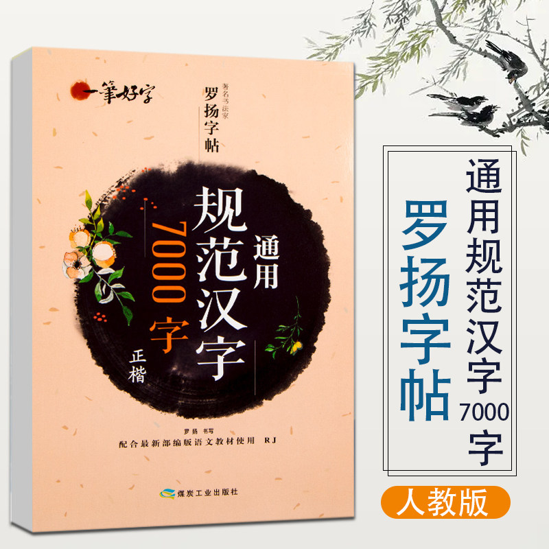 一笔好字罗扬字帖通用规范汉字7000字正楷临摹练字帖人教版小学字帖练字临慕钢笔硬币书法成人小孩写字帖楷书一三二四五六年级下册