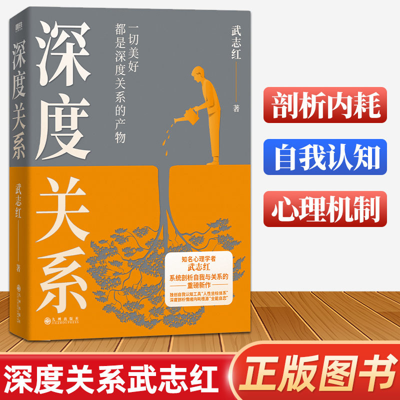 深度关系武志红正版书籍 一切美好都是深度关系的产物心理自助自救指