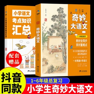 奇妙大语文 全2册 小学语文考点知识汇总同步教材 课本基础集锦大全小学生一三二四六五年级高分宝典必背文学常识 6年级总复习