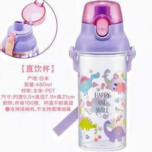 日本skater恐龙直饮水杯保温杯儿童吸管杯子小学生宝宝便携夏杯