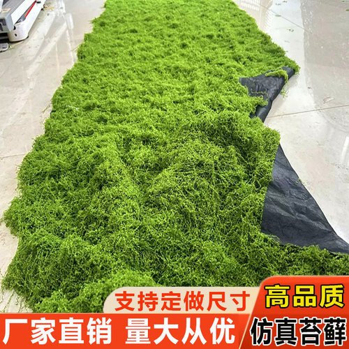 仿真青苔苔藓绿植装饰景观