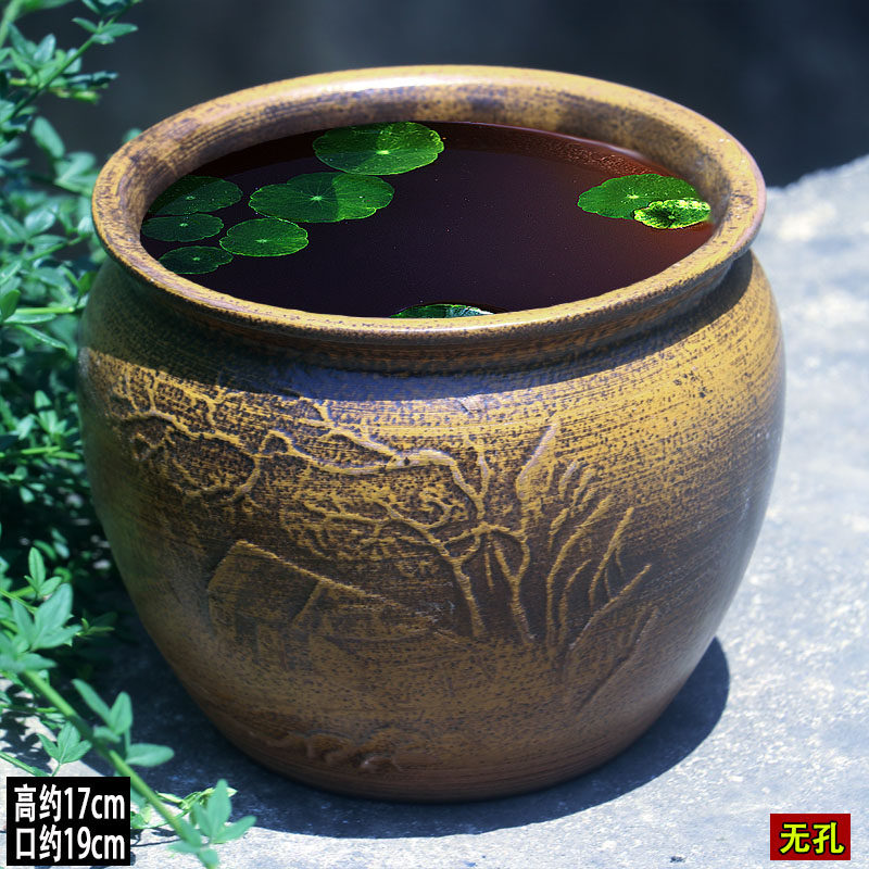 无孔铜钱草花盆大口径金钱草盆水培植物盆复古水养水培盆水培盆大