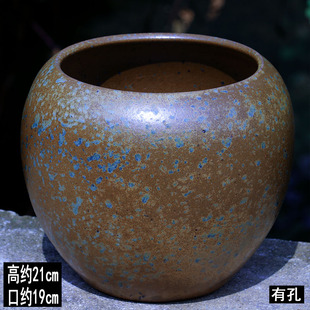 君子兰花盆陶瓷冬青陶盆大口径三角梅粗陶罐老桩多肉盆龟背竹花盆