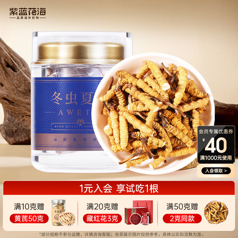 紫蓝花海冬虫夏草断虫草10克断草正品官方旗舰店自吃实惠送父母