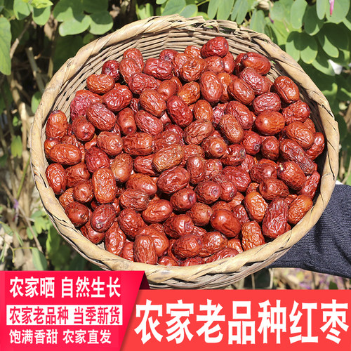 红枣干药材深山农家晒整颗干货