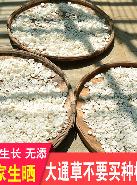 大通草深山正品药材农家新干货空心白通草产后妈妈月子哺乳期正宗