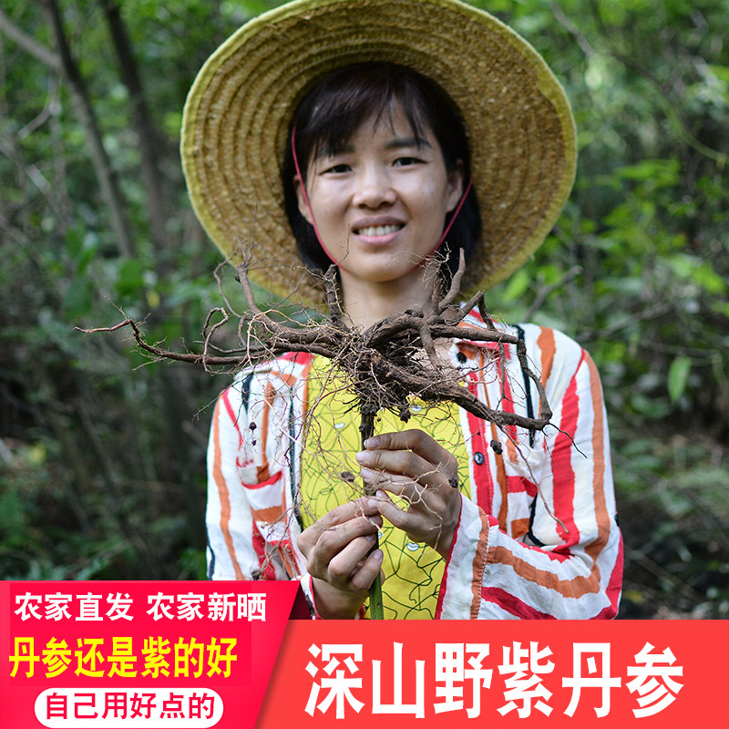 山野紫丹参片药材农家煲汤正品药材丹参泡煮水营养茶川弓当归正宗