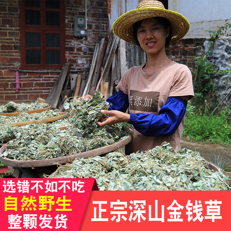 金钱草500g泡水喝整颗广大