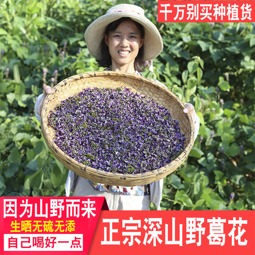 野葛花250g深山药材农家晒干煮泡水野葛根葛藤花草茶喝酒应酬调理