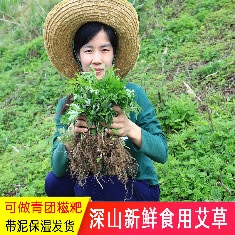 深山广东新鲜艾草农家青团材料图片