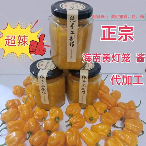 海南纯黄灯笼椒酱  新鲜特辣 香辣 变态辣  农产品纯黄灯笼椒