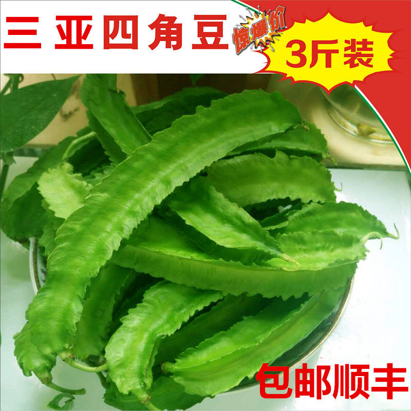 3斤装 现摘新鲜 四角豆 四棱豆 龙豆 杨桃豆