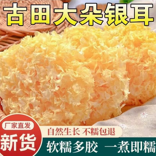 大花银耳干货250g古田特产大朵雪耳新货非净重无硫易出胶白木耳羹