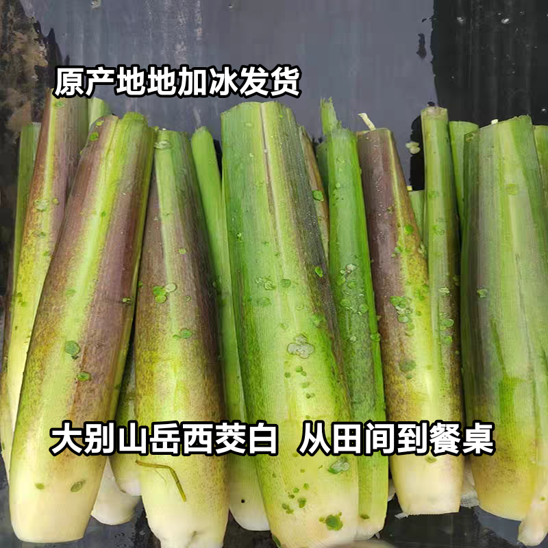 安徽特产新鲜茭白大别山高山农家蔬菜高笋瓜笋应季茭儿菜时令蔬菜