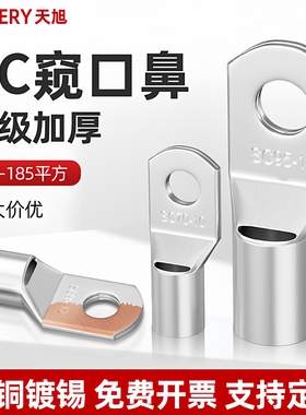 SC10-6/8/10平方窥口铜接线端子/铜线鼻镀锡铜鼻子电线接头连接器