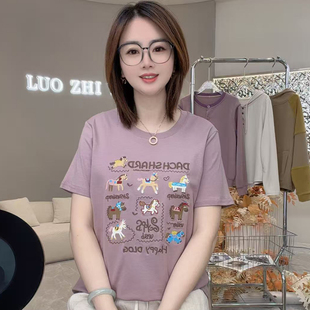 彩虹小马！夏季新款液氨棉凉感短袖刺绣透气减龄百搭显瘦T恤L2622