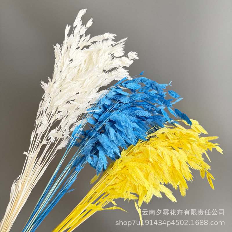 礼物永生花漂色小盼草气质花束手工diy装饰高级家居装饰插花