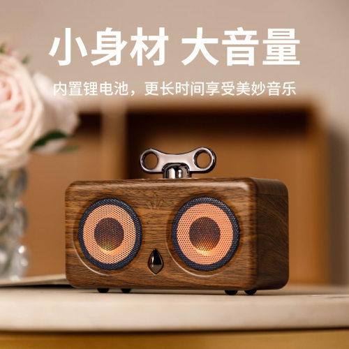 定制蓝牙音箱家用无线TWS互联小
