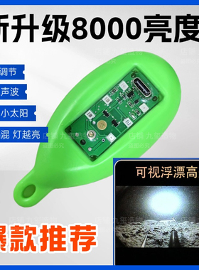 可视高灯浮漂水影高灯锚鱼夜视诱鱼超亮浑水专用不惊鱼水影浮球漂