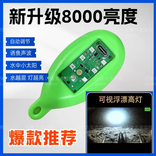 可视高灯浮漂水影高灯锚鱼夜视诱鱼超亮浑水专用不惊鱼水影浮球漂