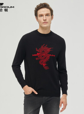MENHARDUM/蔓哈顿冬季新品中年男子时尚羊毛衫圆领羊毛混纺毛衣男