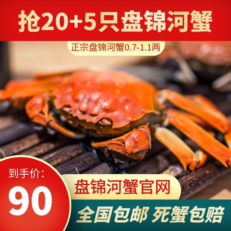 盘锦河蟹1两母鲜活稻田河蟹大闸蟹鲜活盘锦稻田蟹六月黄盘锦河蟹