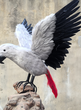 仿真鹦鹉羽毛手工摆件拍摄装饰