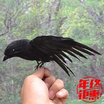 新款 仿真黑色乌鸦 道具复活节万圣节用品鬼节 表演道具 羽毛鸟