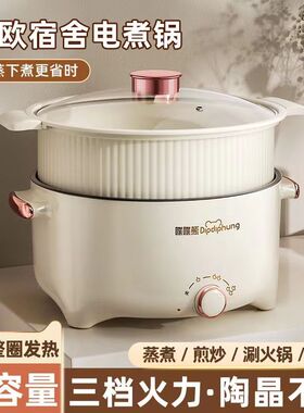 电煮锅宿舍学生多功能一体小电锅家用大容量煮面煮饭炒菜电热火锅