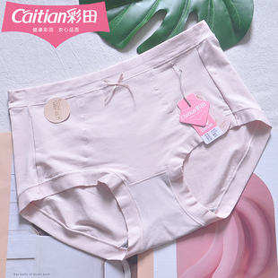 彩田32268棉质莫代尔混纺透气收腹高腰大码女士内裤石墨烯底裆