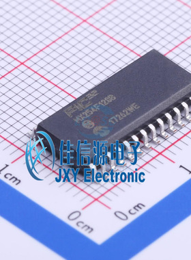 PIC32MX254F128B-V/SO MICROCHIP(美国微芯)  SOIC-28_300mil