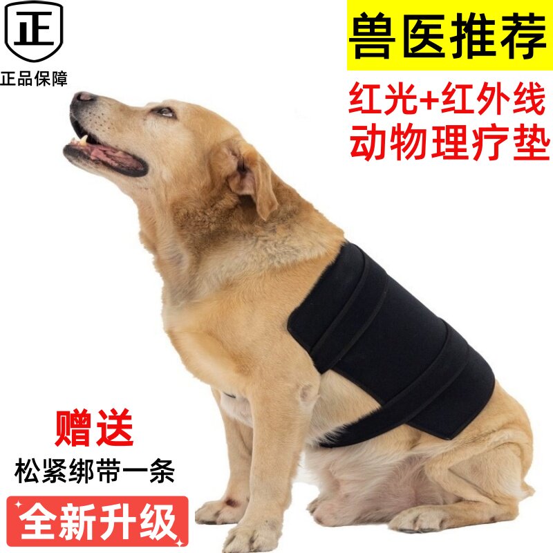 宠物红光理疗带红外线光疗灯毯加热垫猫狗关节疼痛腰椎骨折康复仪