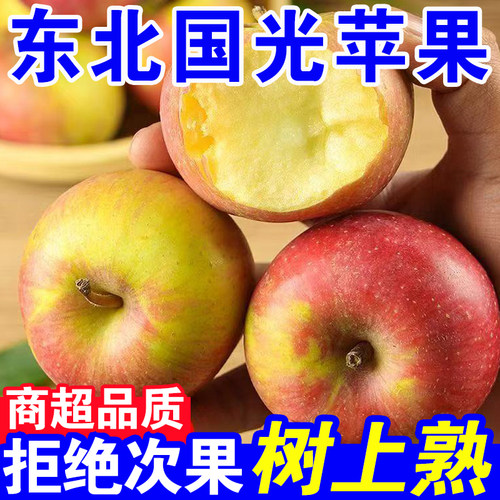 东北国光苹果老式酸甜瓦房店老树国光苹果应季水果新鲜2025年