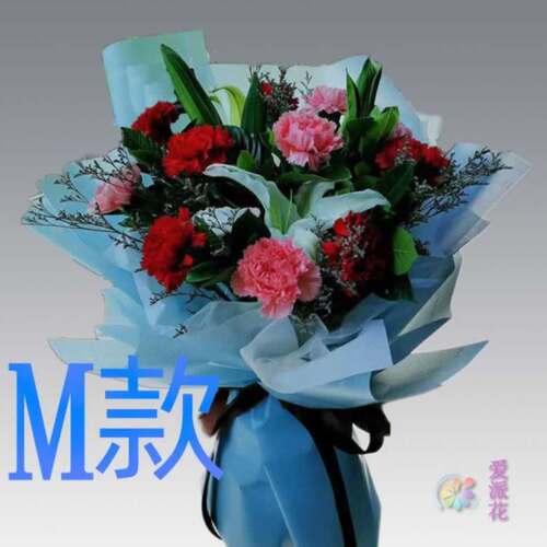 生日纪念康乃馨海南海口花店送花文昌市万宁市东方市同城鲜花快递