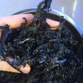 海小吴新货福建漳浦纯二水碎紫菜干货无沙馄饨紫菜汤肉片500g 包邮