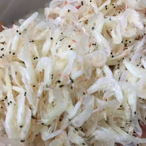 海小吴福建淡干虾皮虾米商家馄饨用干货散装海米扁食肉片500g包邮 - 封面