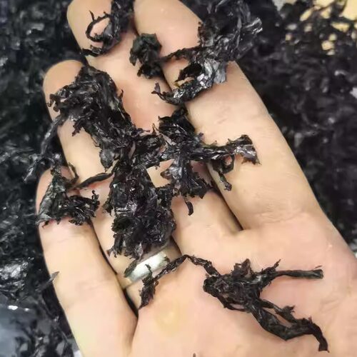 海小吴新福建霞浦高档馄饨二水头