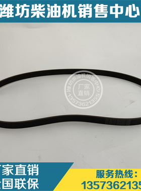 发电机多楔带6PK1376水泵张紧轮皮带1001025037潍柴WP4发动机WP12