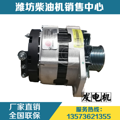 潍柴动力WD10柴油机WD12 WP12发动机原厂配件612600090206D发电机