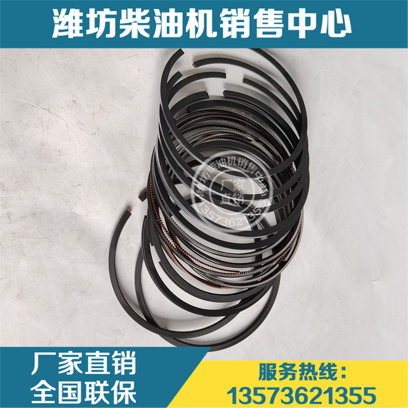 潍柴博杜安6m26 12m33柴油发动机1006430646活塞环 船用发电机组