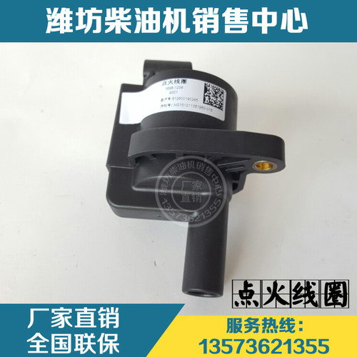 潍柴动力WP6道依茨发动机客车 天然气原厂件612600190245点火线圈