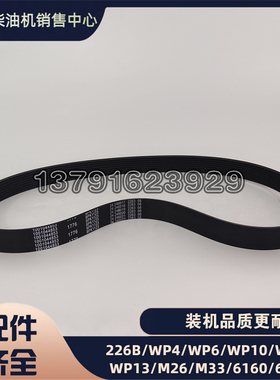 发电机多楔带8PK1123潍柴WP10.5H发动机张紧轮水泵皮带1001044853