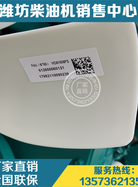 612600060121风扇叶 潍柴WD618柴油发动机WP10 P12发电机组6M16