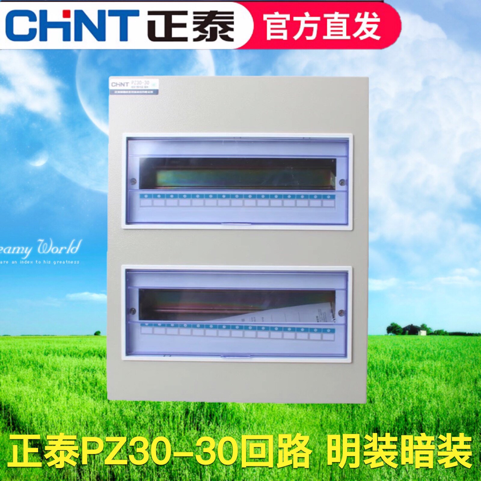 正泰电器 照明箱PZ30-30#回路户内箱明暗配电箱强电箱 空开箱双排