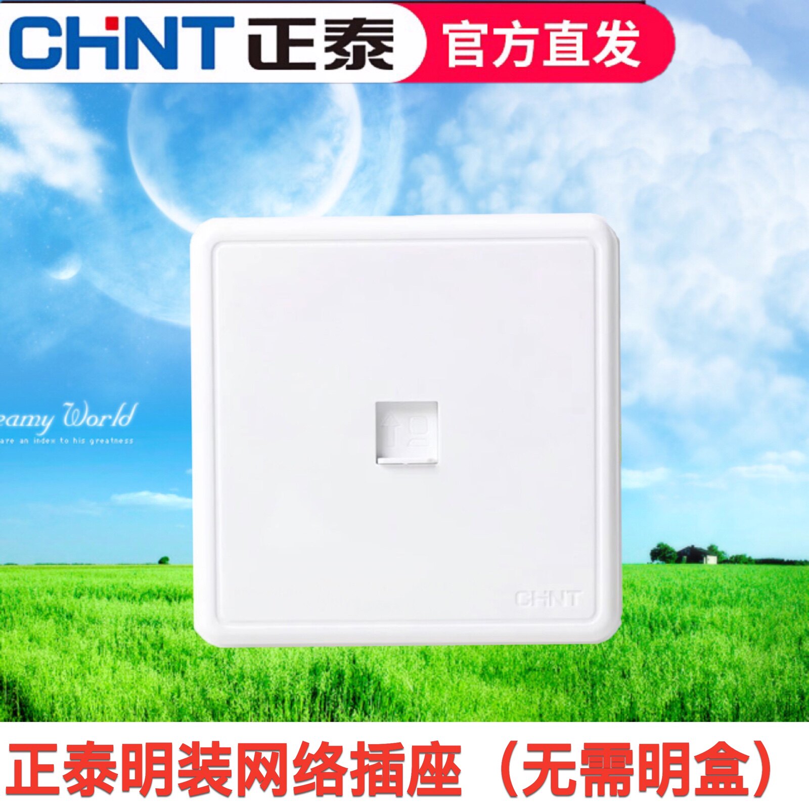 正泰电工 开关插座NEW1C 电脑插座 明插座 象牙白色网络网线插座