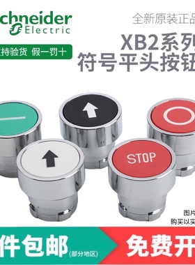 施耐德 带功能符号箭头平头按钮头ZB2BA331C/334C/335C/432C/434C