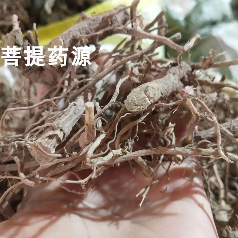臭牡丹根中药材臭枫根500克 臭芙蓉头臭枫草矮桐子头大红袍珠桐根