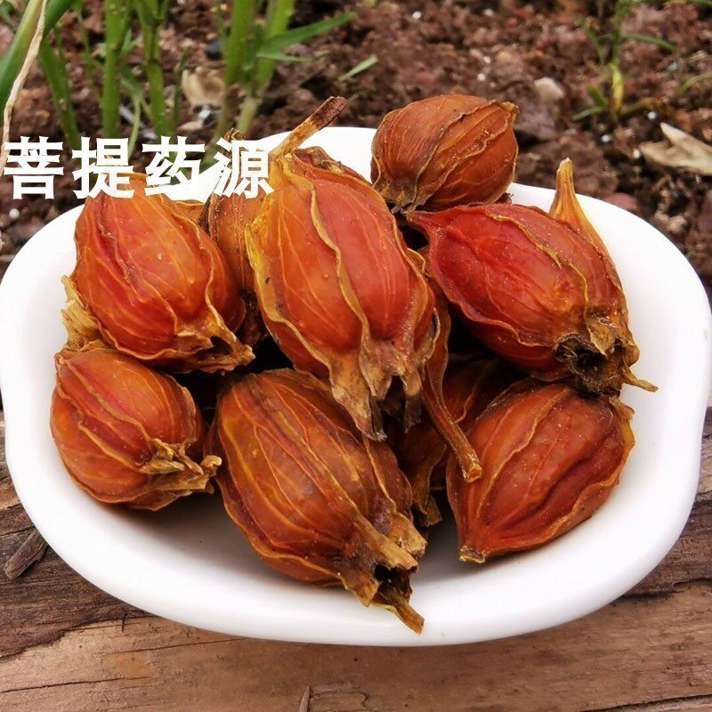 正宗山栀子中药材500克包邮 黄栀子栀花茶泡茶泡水 卤肉